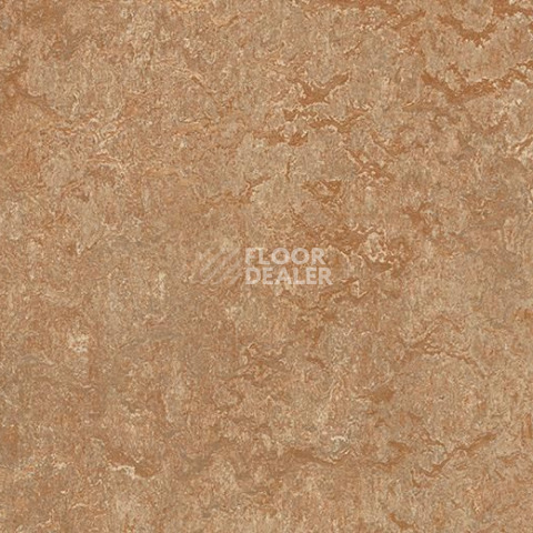 Линолеум Forbo Marmoleum Marbled Real 3233 Shitake фото 1 | FLOORDEALER